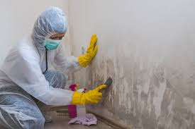 Best Mold Remediation for Healthcare Facilities in USA